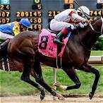 best horse bet tomorrow